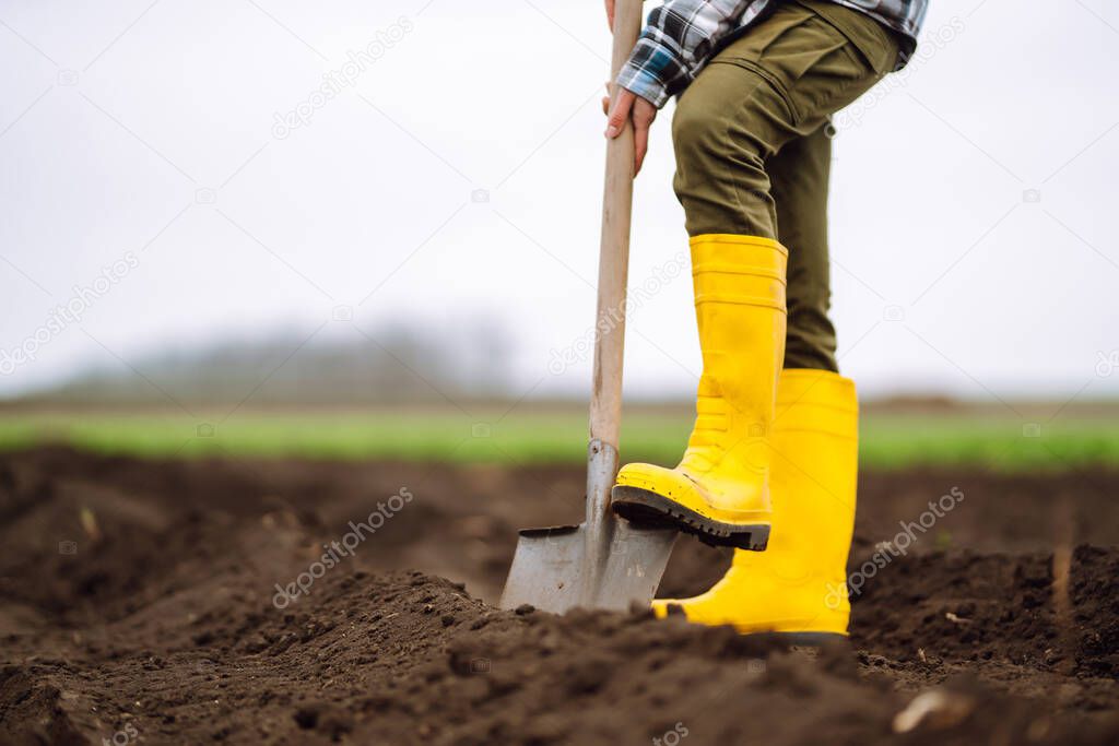 Woman wearing yellow boots digs soil with shovel. Agriculture, organic gardening, planting or ecology concept.