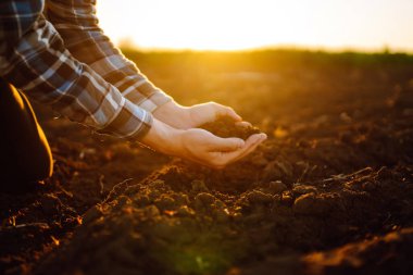 Female hands touching soil on the field at sunset. Agriculture, organic gardening, planting or ecology concept. 