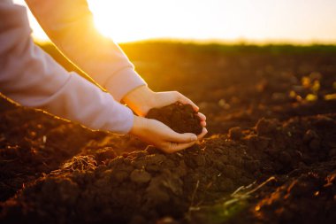 Female hands touching soil on the field at sunset. Agriculture, organic gardening, planting or ecology concept. 