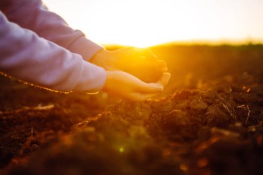 Female hands touching soil on the field at sunset. Agriculture, organic gardening, planting or ecology concept. 