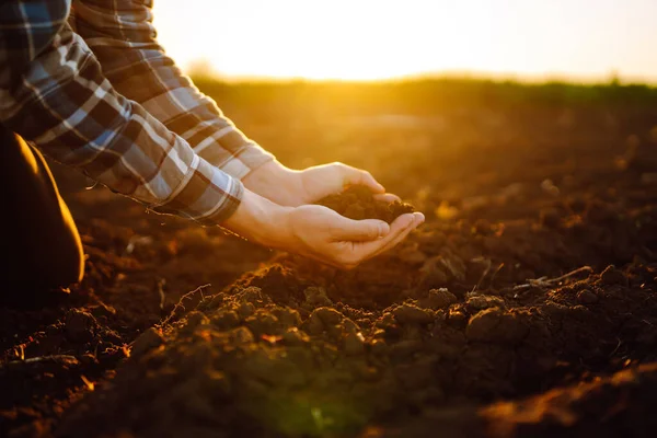 Female hands touching soil on the field at sunset. Agriculture, organic gardening, planting or ecology concept.