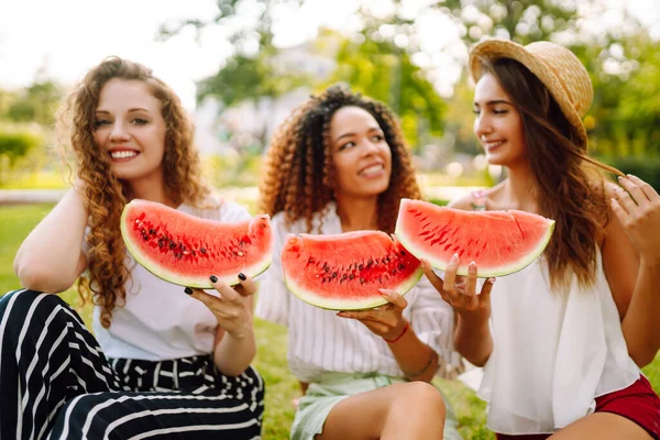 Üç genç kadın çimlerin üzerinde kamp yapıyor, karpuz yiyor, gülüyor. İnsanlar, yaşam tarzı, seyahat, doğa ve tatil konsepti. Yaz konsepti.