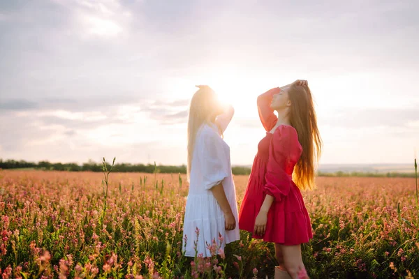 Portrait Two Young Woman Stylish Dress Posing Blooming Field Nature — стоковое фото