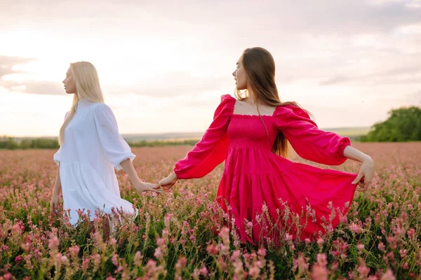 Retrato Duas Jovens Vestido Elegante Posando Campo Florescente Natureza Férias — Fotografia de Stock