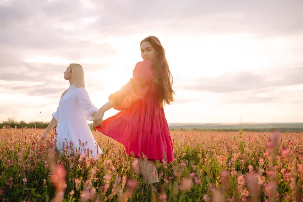 Portrait Two Young Woman Stylish Dress Posing Blooming Field Nature — Photo