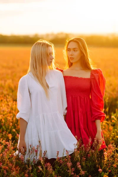 Portrait Two Young Woman Stylish Dress Posing Blooming Field Nature — стоковое фото