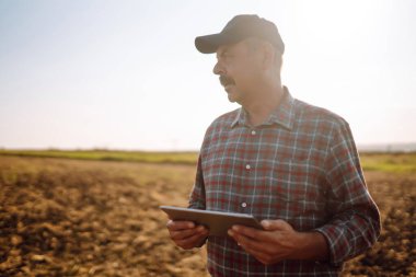 Expert hand of farmer checking soil health before growth a seed of vegetable or plant seedling.  Agriculture, organic gardening, planting or ecology concept.