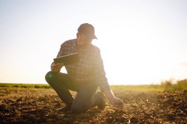 Bitki veya bitki tohumu yetiştirmeden önce toprak sağlığını kontrol eden bir çiftçi eli. Tarım, organik bahçe, ekme ya da ekoloji konsepti.