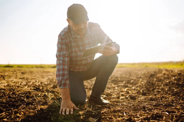 Expert Hand Farmer Checking Soil Health Growth Seed Vegetable Plant — Stock Photo, Image