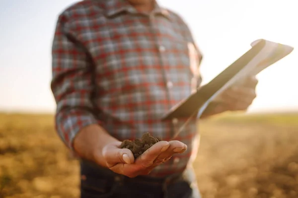 Expert Hand Farmer Checking Soil Health Growth Seed Vegetable Plant — Stok fotoğraf