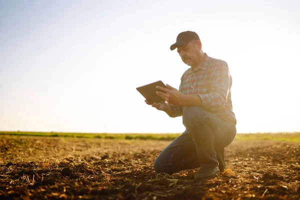 Bitki veya bitki tohumu yetiştirmeden önce toprak sağlığını kontrol eden bir çiftçi eli. Tarım, organik bahçe, ekme ya da ekoloji konsepti.