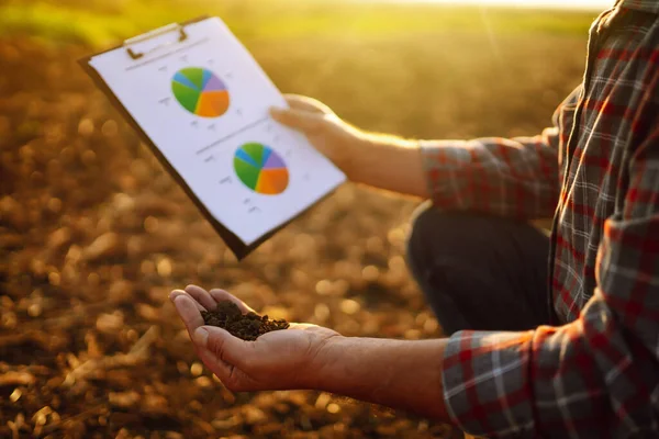 Expert Hand Farmer Checking Soil Health Growth Seed Vegetable Plant — Fotografia de Stock