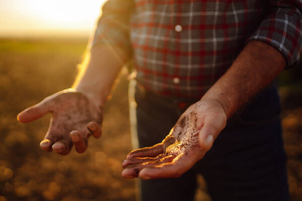 Expert hand of farmer checking soil health before growth a seed of vegetable or plant seedling.  Agriculture, organic gardening, planting or ecology concept.