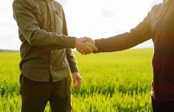 Handshake Two Farmer Background Wheat Field Agricultural Business — Stok Foto