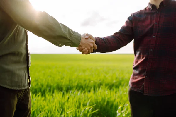 Handshake Two Farmer Background Wheat Field Agricultural Business — Foto Stock