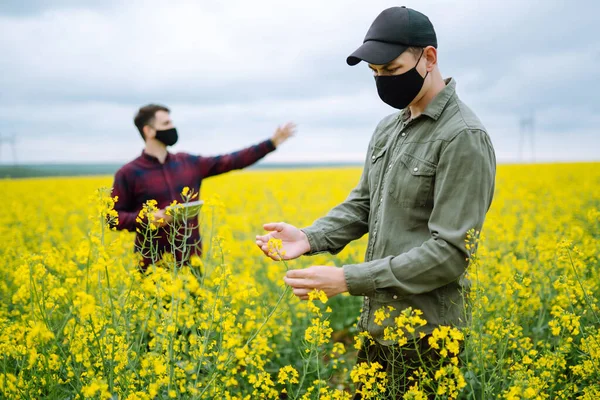 Farmers Tablet Field Farmers Sterile Medical Masks Discuss Agricultural Issues — 图库照片