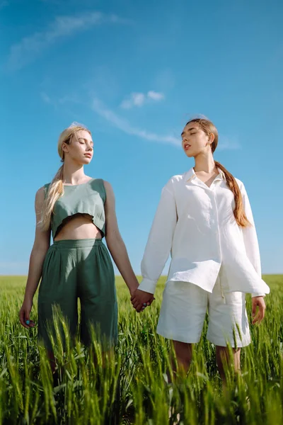 Duas Mulheres Bonitas Campo Verde Natureza Férias Relaxamento Estilo Vida — Fotografia de Stock