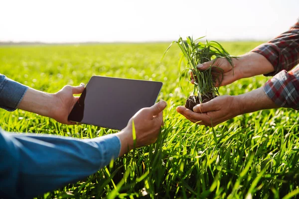 Smart farm. Two Farmer with a tablet on a green wheat field. Agriculture, gardening or ecology concept.