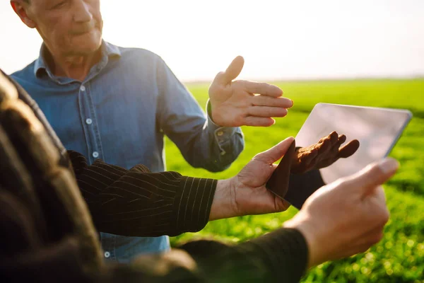 Fazenda Inteligente Dois Fazendeiros Com Tablet Campo Trigo Verde Conceito — Fotografia de Stock