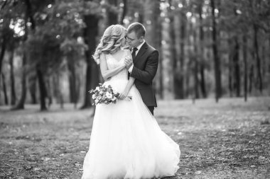 Parktaki güzel bir çiftin siyah beyaz portresi. Düğün günü. Evlilik..