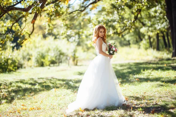 Νεαρή Κομψή Νύφη Ένα Λευκό Φόρεμα Για Μια Βόλτα Στο — Φωτογραφία Αρχείου