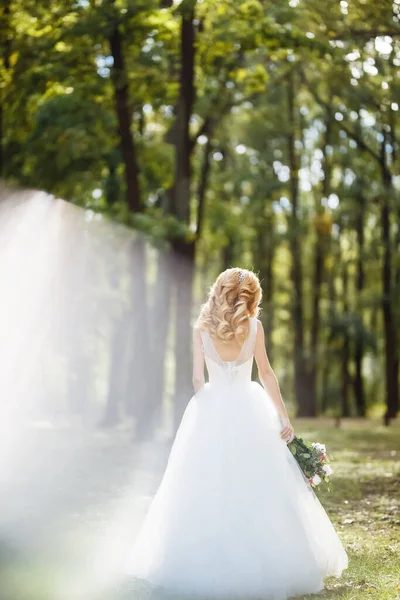 Joven Novia Elegante Vestido Blanco Para Paseo Por Parque Día — Foto de Stock