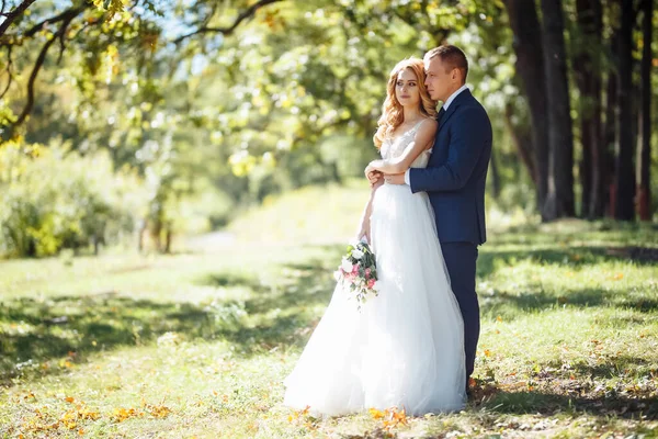 Bruid Bruidegom Lopen Samen Het Park Gelukkig Bruidspaar Geniet Van — Stockfoto