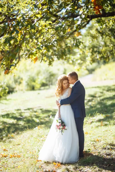 Les Mariés Marchent Ensemble Dans Parc Heureux Couple Mariage Profiter — Photo