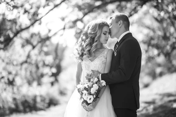 Retrato Blanco Negro Una Hermosa Pareja Novios Parque Día Boda — Foto de Stock