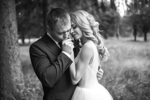 Retrato Blanco Negro Una Hermosa Pareja Novios Parque Día Boda —  Fotos de Stock