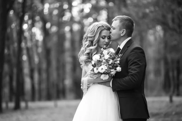 公園で美しい結婚式のカップルの黒と白の肖像画 結婚式の日 — ストック写真