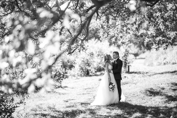 Retrato Blanco Negro Una Hermosa Pareja Novios Parque Día Boda — Foto de Stock