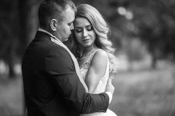 Черно Белый Портрет Красивой Свадебной Пары Парке День Свадьбы Брак — стоковое фото