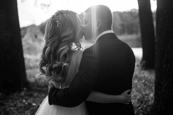 Retrato Blanco Negro Una Hermosa Pareja Novios Parque Día Boda — Foto de Stock