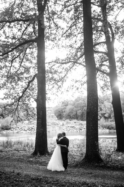 公园里美丽的新婚夫妇的黑白画像 婚礼当天 — 图库照片