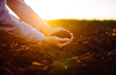 Uzman çiftçinin eli toprak topluyor. Çiftçi ekmeden önce toprak kalitesini kontrol ediyor. Tarım, bahçıvanlık veya ekoloji kavramı.