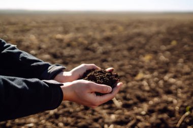 Uzman çiftçinin eli toprak topluyor. Çiftçi ekmeden önce toprak kalitesini kontrol ediyor. Tarım, bahçıvanlık veya ekoloji kavramı.