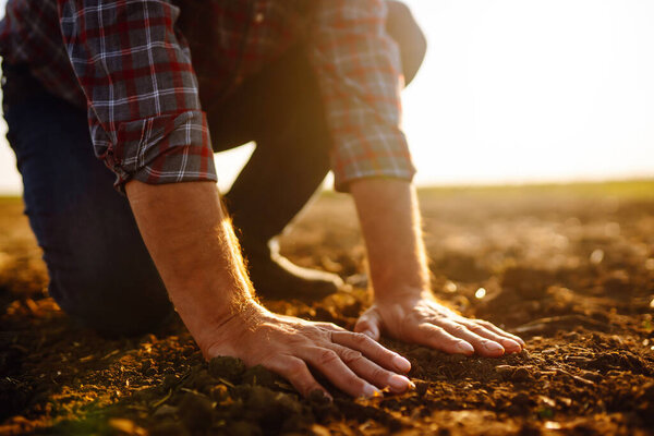 Hand of expert farmer collect soil.  Farmer is checking soil quality before sowing. Agriculture, gardening or ecology concept.