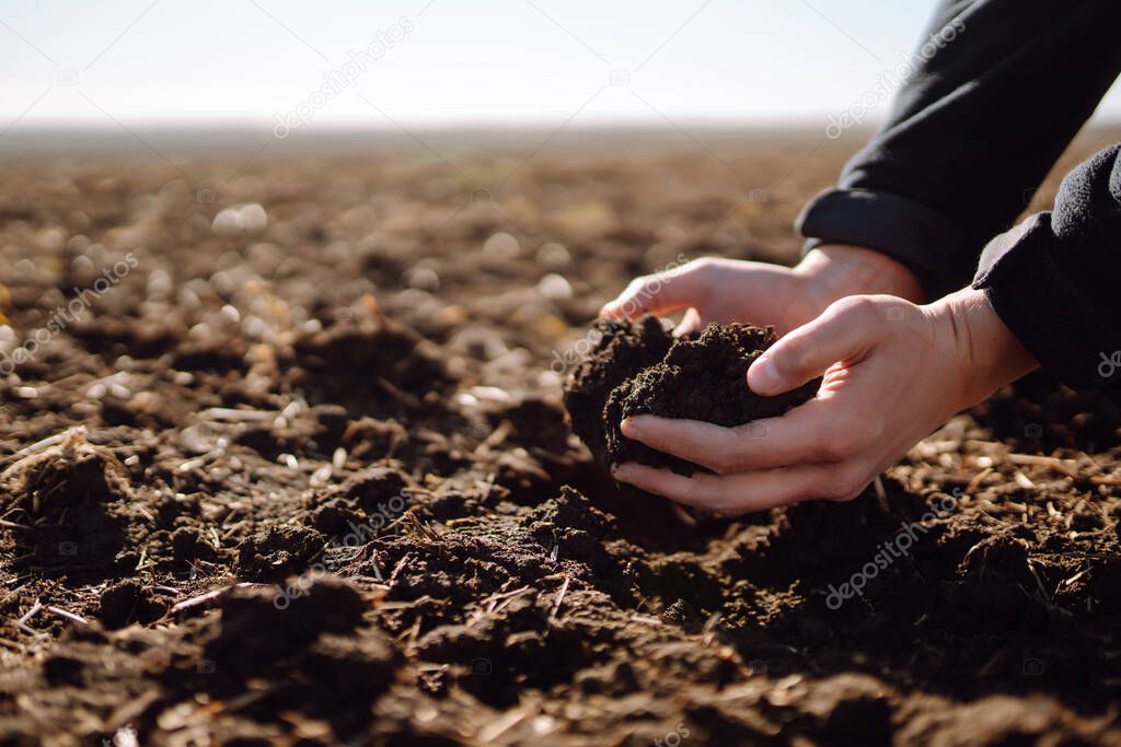 Hand of expert farmer collect soil.  Farmer is checking soil quality before sowing. Agriculture, gardening or ecology concept.