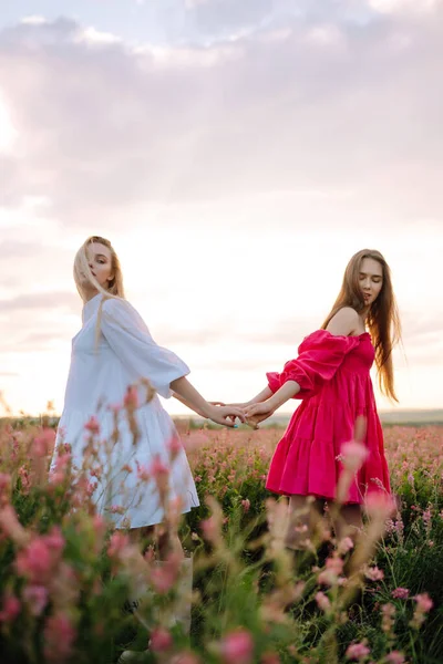 Duas Mulheres Bonitas Campo Florescente Moda Conceito Estilo — Fotografia de Stock