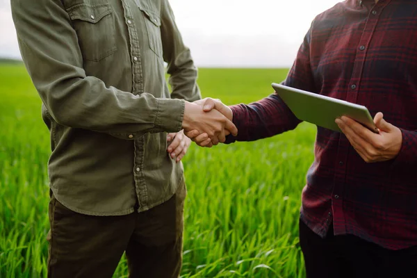 Dois Agricultores Que Fazem Acordo Com Aperto Mão Campo Trigo — Fotografia de Stock