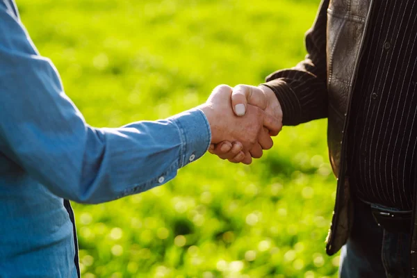 Two farmers making agreement with handshake in green wheat field. Agricultural business.