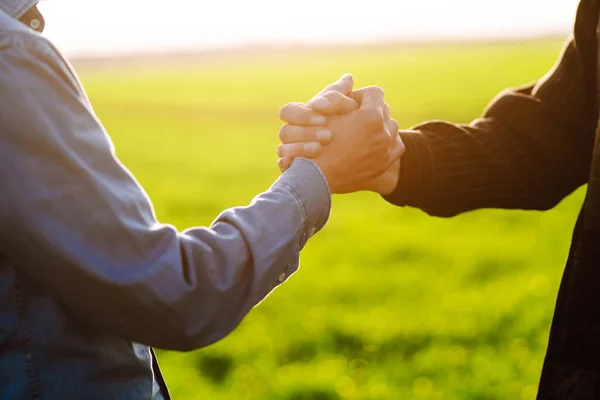 Two farmers making agreement with handshake in green wheat field. Agricultural business.