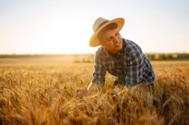 Buğday tarlasında şapkalı genç çiftçi. Tarım, bahçıvanlık veya ekoloji kavramı.