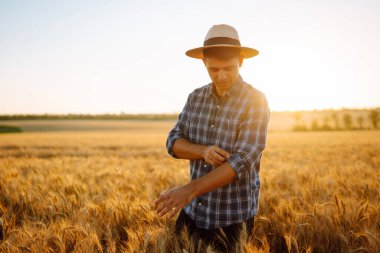 Buğday tarlasında şapkalı genç çiftçi. Tarım, bahçıvanlık veya ekoloji kavramı.