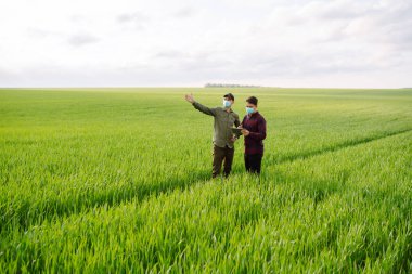 Tarlada tabletli koruyucu maskeli iki çiftçi. Modern tarım teknolojisi. Akıllı tarım kavramı.