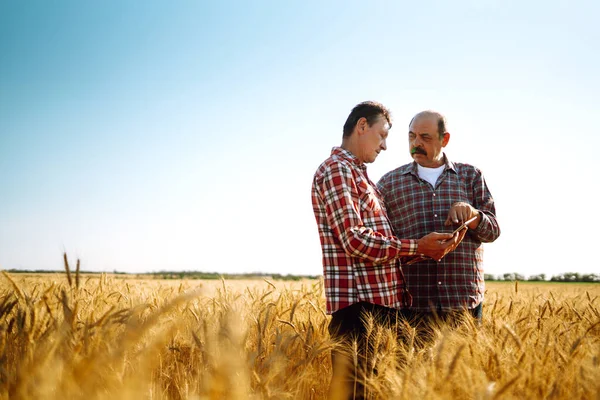 Farmers with tablet in the field. Modern agriculture technology. Smart farming concept.