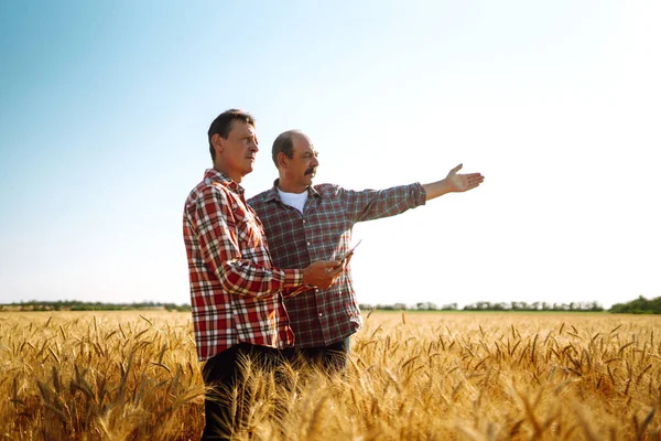 Farmers with tablet in the field. Modern agriculture technology. Smart farming concept.