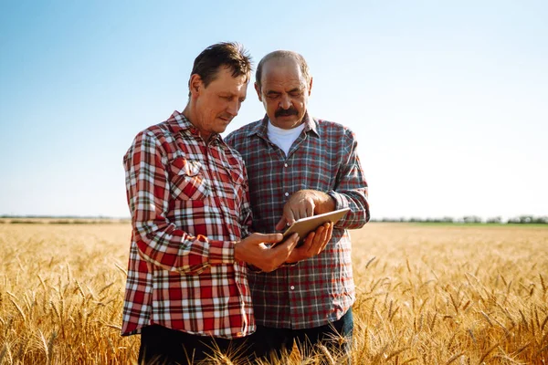 Farmers with tablet in the field. Modern agriculture technology. Smart farming concept.