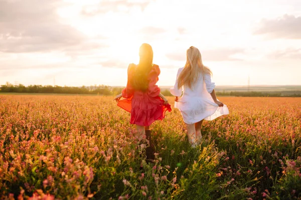 Duas Mulheres Bonitas Num Campo Natureza Moda Férias Estilo Vida — Fotografia de Stock